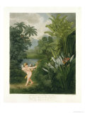 Landscape with Cupid Aiming an Arrow at a Parrot or Queen Flower, from "The Temple of Flora" Giclee Print by Philip Reinagle