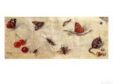 A Study of Various Insects, Fruit and Animals Giclee Print by Jan van Kessel