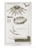 Plate XX: the Spread and Workings of the Pedals in a Harp Giclee-trykk av Robert Benard Plate XX: the Spread and Workings of the Pedals in a Harp Giclee-trykk av Robert Benard