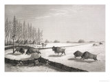 A Buffalo Pound, from A Buffalo Pound, from