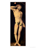 Adam, 1528 Giclee Print by Lucas Cranach the Elder