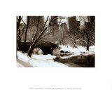 Central Park, Bridge Poster par Igor Maloratsky