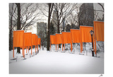 The Gates, Central Park Affiches par Igor Maloratsky