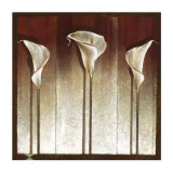 Three Calla Lillies Arte por Mira Latour Three Calla Lillies Arte por Mira Latour