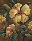 Hawaiian Ladies Poster by Marshall Banks