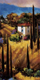 Collines de Toscane Affiches par Nancy O'toole