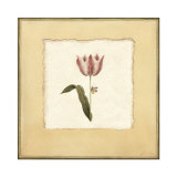 Tulip II Posters by Yuna 