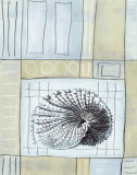 Sea Life I Prints by Barbara Jarman