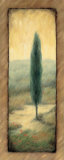 Tuscan Twilight II Prints by Laurie Tavino