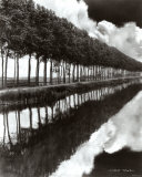Fences and Trees, Empire, MI Affiches par Monte Nagler