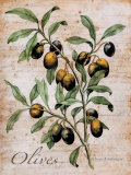 Olives Prints by Renee Bolmeijer
