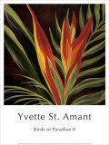 Birds of Paradise II Prints by Yvette St. Amant