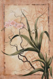 Asian Orchid II Posters by Susanne Renee Leasure