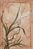 Asian Orchid I Art by Susanne Renee Leasure