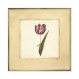 Tulip III Prints by Yuna 