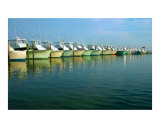 Fishing boats Photographic Print by Frank Tozier