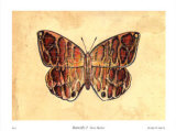 Butterfly I Posters av Steve Butler Butterfly I Posters av Steve Butler