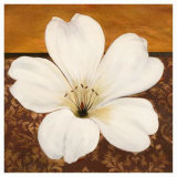 Azalea Blossom Posters by Tamara Wright Azalea Blossom Posters by Tamara Wright