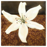 White Lily Posters by Tamara Wright