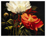 Red Peony Posters by Diann Haist