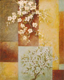 Apple Blossoms Print by Xavier 