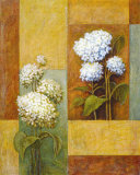Blue and White Hydrangea Poster par Xavier 