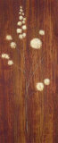 Billy Buttons I Láminas por Fernando Leal Billy Buttons I Láminas por Fernando Leal