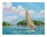 Fling in the Sun Reproduction procédé giclée par L Diane Johnson