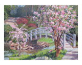 Breath of Spring Reproduction procédé giclée par L Diane Johnson