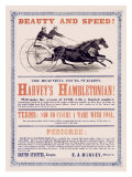 Hambletonian Harness Racing Poster Pósters Hambletonian Harness Racing Poster Pósters