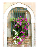 Petunias through Wrought Iron Photographic Print by Donna Corless Petunias through Wrought Iron Photographic Print by Donna Corless