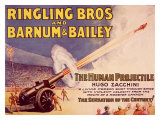 Ringling Brothers Circus: Projectile Man Giclee Print