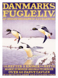 Denmark Bird Society Giclée-Druck