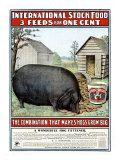 International Hog Swine Feed Giclee Print