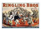 Ringling Brothers Circus: Elephant Giclee Print