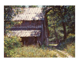 Timeworn Reproduction procédé giclée par L Diane Johnson