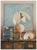 Clematite Blanche Posters by Laurence David