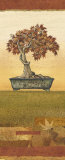 Bonsai IV Pósters por Charlene Audrey Bonsai IV Pósters por Charlene Audrey