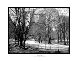 Central Photographic Print by Karen Leigh