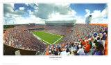 Florida Gators Posters