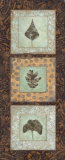 Leaf Study II Prints by Carolyn Holman