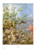 Apple Blossoms Posters by Olga Florian Wisinger