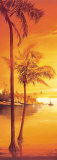 Cabo San Lucas Affiche par Leon Wells