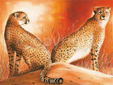 Pareja (A.P.) Láminas por Arkadiusz Warminski Pareja (A.P.) Láminas por Arkadiusz Warminski