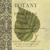 Botany Principles III Poster von Paula Scaletta
