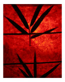 Bamboo Leaves Photographic Print by ziva santop