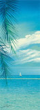Tropic Garden I Pósters por Howard Page