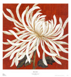 Spider Mum I Posters par Judy Shelby