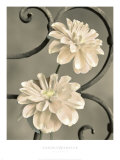 Iron Trellis IV Art par Sondra Wampler