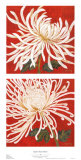 Spider Mum Petites Affiches par Judy Shelby